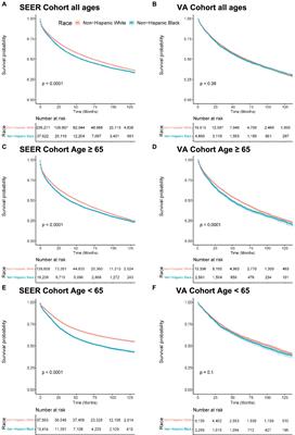 Racial disparities in colorectal cancer outcomes and access to care: a multi-cohort analysis